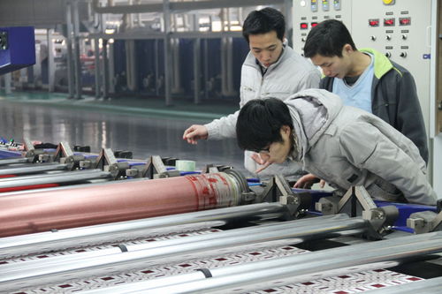 金辰印花廠與江蘇金辰針紡織 專業(yè)針紡織品的匠心制造