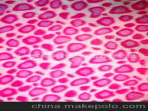 毛巾針紡織品供應商、價格與批發市場全攻略