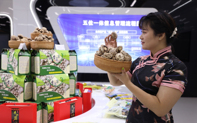 湖北鄖西 五大百億產業集群“頂起”工業經濟，食用農產品研發賦能鄉村振興